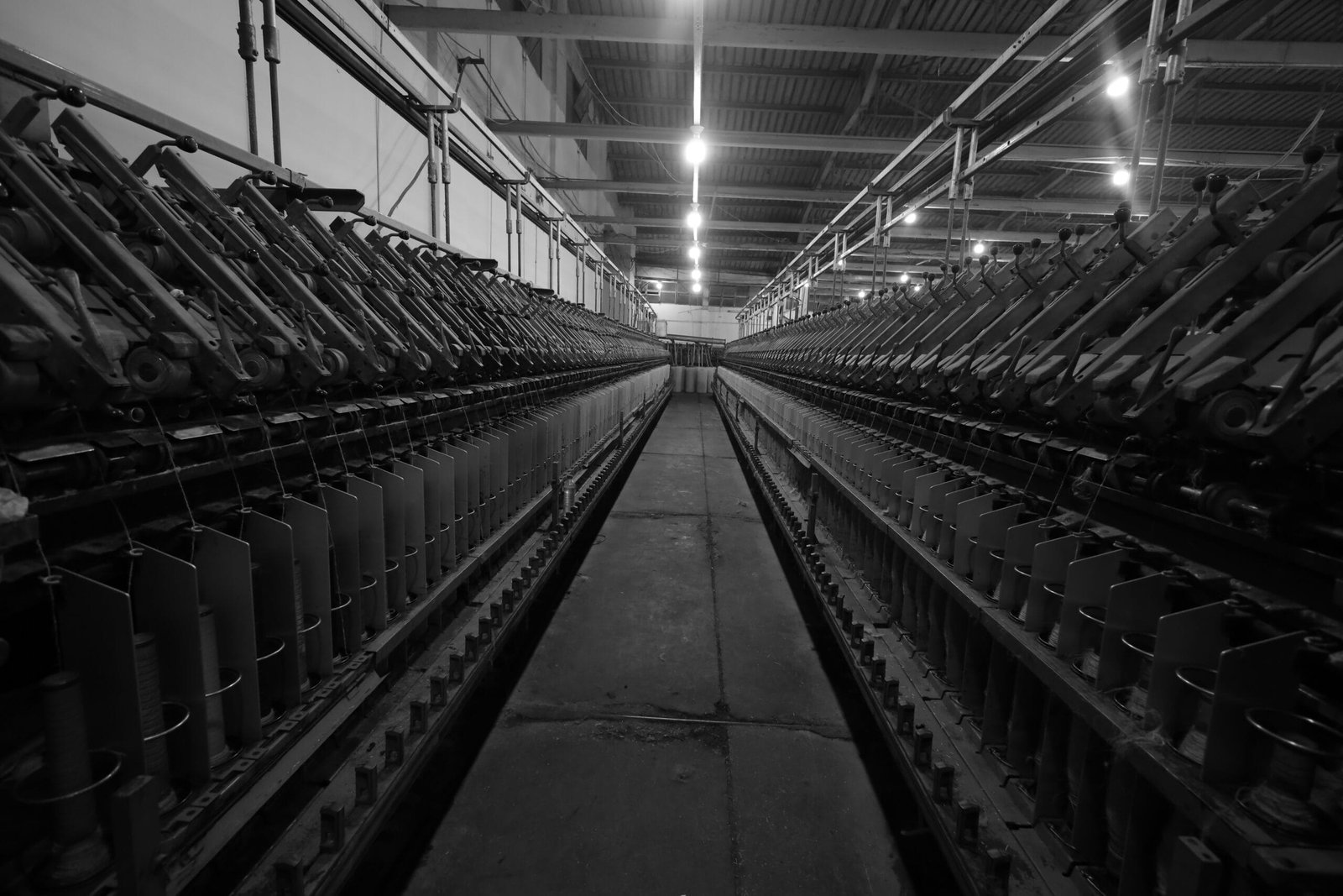 1F0A3270-scaled Production Story