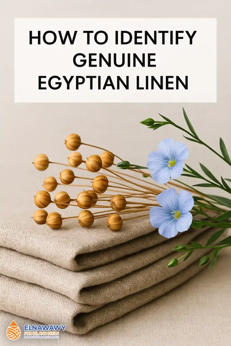 Close-up of genuine Egyptian linen fabric from El Nawawy Company, showcasing fine weave and natural texture for authenticity