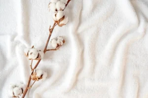 Linen vs Cotton: Which Natural Fiber is Right for You?