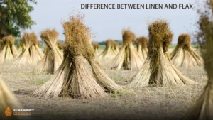 Difference Between Linen and Flax
