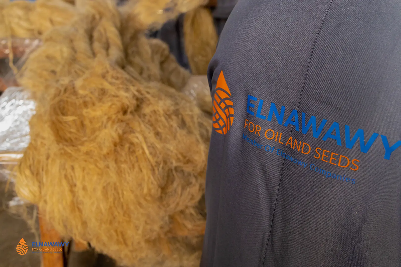 Flax Fiber for Textile: Premium Egyptian Fibers for Quality Fabrics 4 Inside El Nawawy Company’s flax processing facility with natural fibers and quality control.