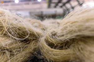 Close-up view of coarse, light brown natural fibers,flax fiber for textile use, with an industrial setting blurred in the background.