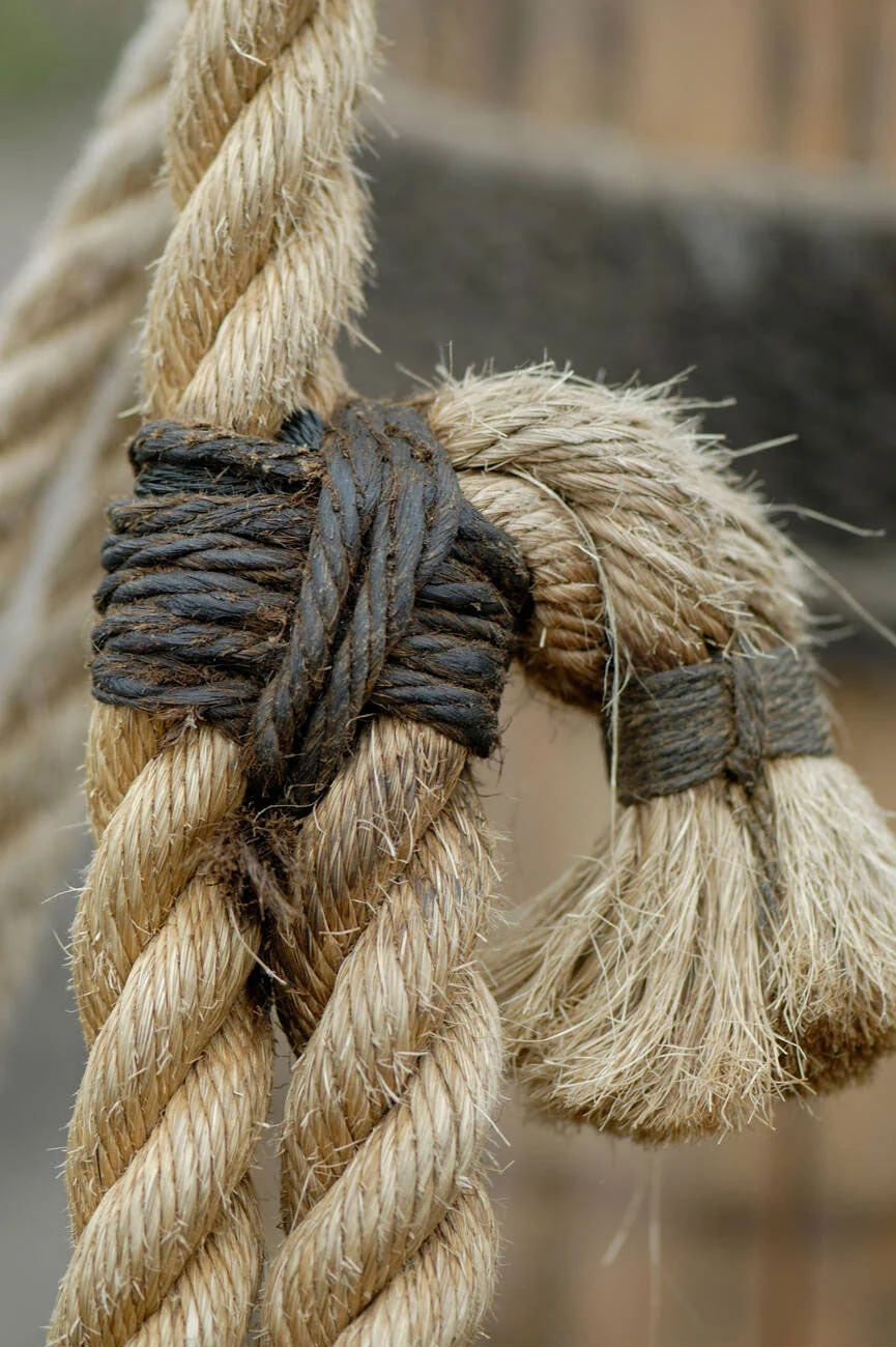 Tarred marline whipped onto the end of a natural fibre rope