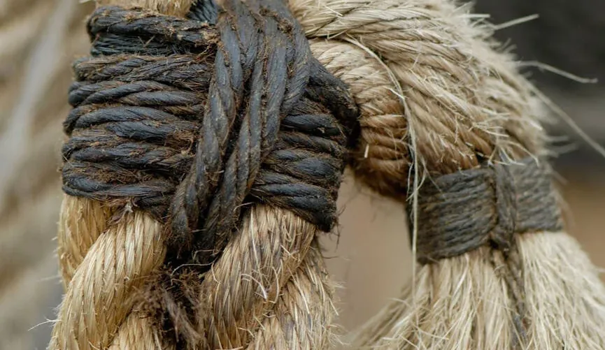 Tarred marline whipped onto the end of a natural fibre rope